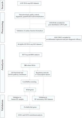 Identification of hub genes and transcription factor regulatory network for heart failure using RNA-seq data and robust rank aggregation analysis